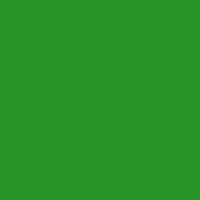 Penstick - Statische Raamfolie - (30x50cm) 624 Groen (P0624-30)