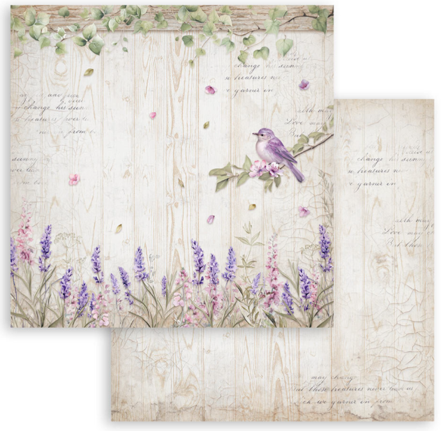 Lavender 12x12 Inch Paper Pack (SBBL155) *