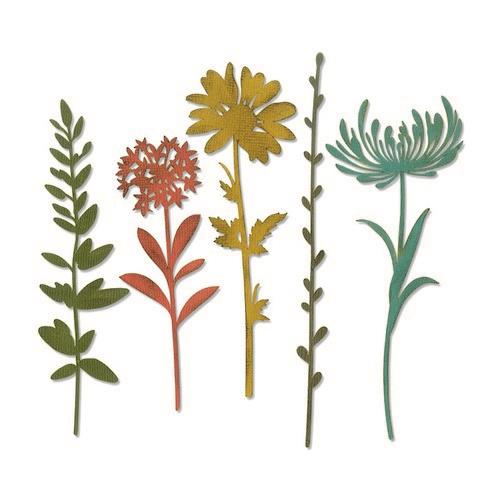 Sizzix Thinlits Die Set - 5PK Wildflower Stems #1 - Tim Holtz (664163) *