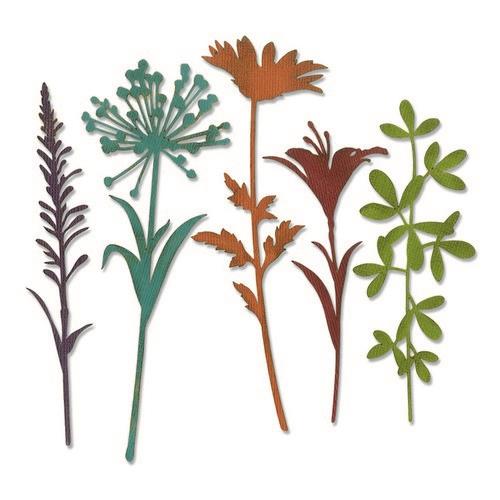 Sizzix Thinlits Die Set - 5PK Wildflower Stems #2 - Tim Holtz (664164) *