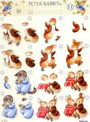 3D Knipvel - Studio Light - Peter Rabbit 11