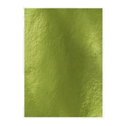Tonic Studios spiegelkarton - glans - holly green 5 vl A4 (9446E)*