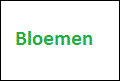 Bloemen