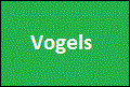 Vogels