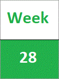 Week 28
