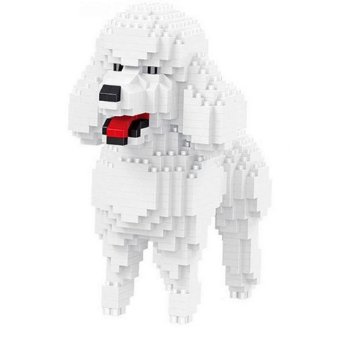 Balody Poedel (18246) *