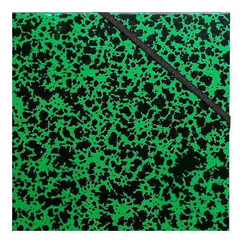 Exacompta Tekenmap 542800E Karton 520mm x 720mm Groen (542800E)