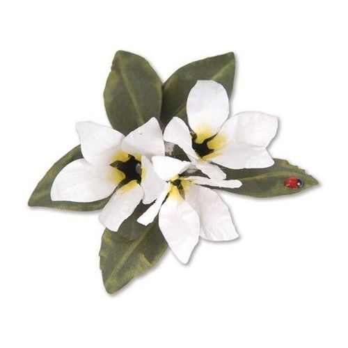 Sizzix Thinlits Die Set Flower (8pcs) - Stephanotis - S.Tierney-Cockburn (659264) (AFGEPRIJSD)