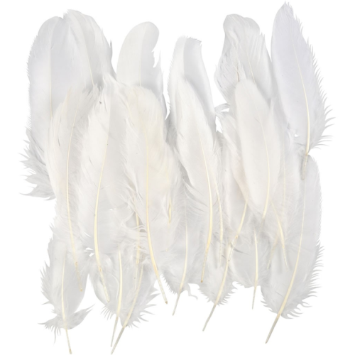 CC Ganzenveren 15 cm Wit 70 stuks (51674)