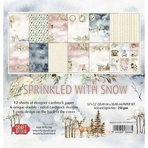 Craft&You Sprinkled with Snow Big Paper Set 12x12 12 vel CPS-SWS-12 (117020/4230)