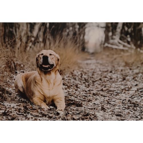 Sublimade aluminium (foto)paneel glanzend Wit (290mm x 410mm x 1.15mm) A3