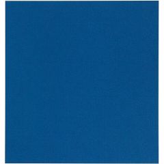 Papicolor Scrapbook 302x302mm royal blauw 200gr-CV 10 vel 298972 - 302x302mm*