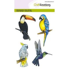 CraftEmotions clearstamps A6 - tropische vogels (130501/1291)*