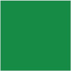 POLI-FLEX IMAGE DIMENSION Flexfolie - Green - A4 (064218)