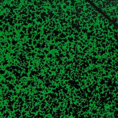 Exacompta Tekenmap 542000E Karton A3 Groen (542000E)