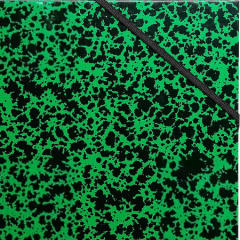 Exacompta Tekenmap 542800E Karton 520mm x 720mm Groen (542800E)