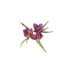 Sizzix Thinlits Die Set Flower (13pcs) - Crocus - S.Tierney-Cockburn (659258) (AFGEPRIJSD)