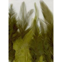 Veren gala groen mix 9-15 cm 15 ST (12235-3506)