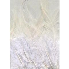 Veren gala wit mix 9-15 cm 15 ST (12235-3509)