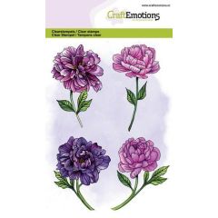 CraftEmotions clearstamps A6 - pioenroos 4 bloemen GB (130501/1325) *