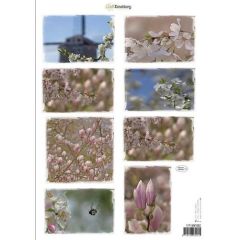 CraftEmotions Knipvellen - Voorjaarsbloemen 2 roze A4 160 grm (117140/1002) (AFGEPRIJSD)