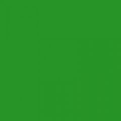 Penstick - Statische Raamfolie - (30x50cm) 624 Groen (P0624-30)