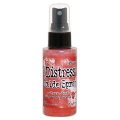 Ranger Distress Oxide Spray - Barn Door Tim Holtz (10-19) (TSO67559)
