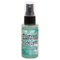 Ranger Distress Oxide Spray - Evergreen Bough Tim Holtz (10-19) (TSO67672)