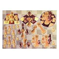 Knipvel - TBZ - Sport - schaken