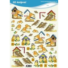 3D Knipvel - Voorbeeldkaarten - Vogels met huisje